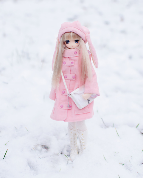 ぽんちゃんと雪を見に行ってきた Aika Flowers